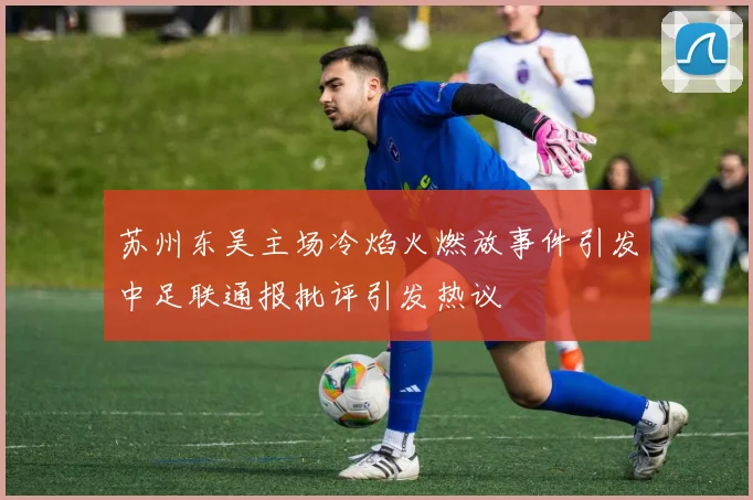 苏州东吴主场冷焰火燃放事件引发中足联通报批评引发热议